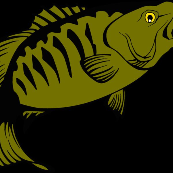 smallmouthbass Thumbnail