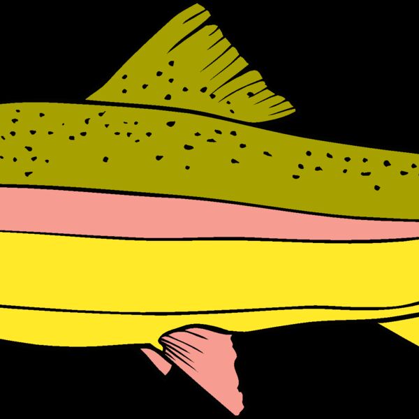 fish rainbowtrout Thumbnail