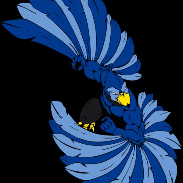 bluejay1 Thumbnail