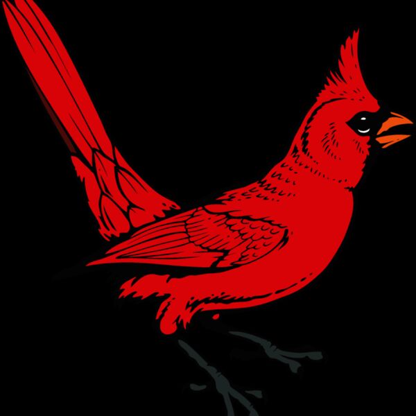 cardinal04v4clr Thumbnail