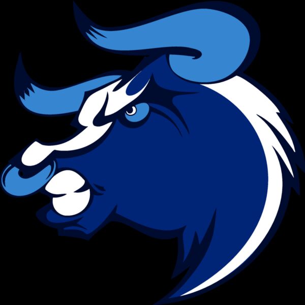 bull12v4clr Thumbnail