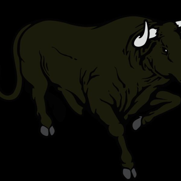 bull07v4clr Thumbnail