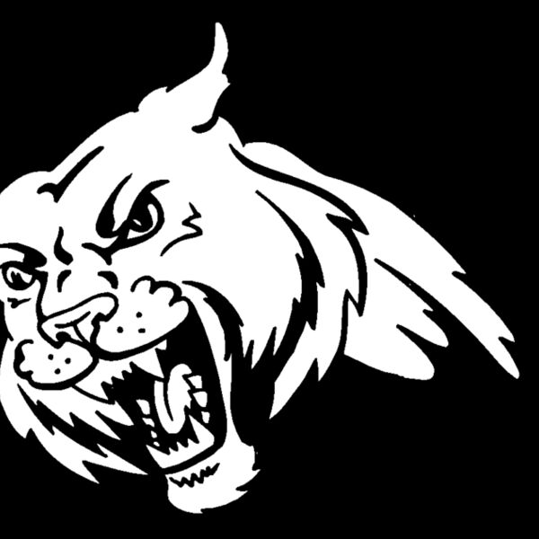 bobcathead01 Thumbnail