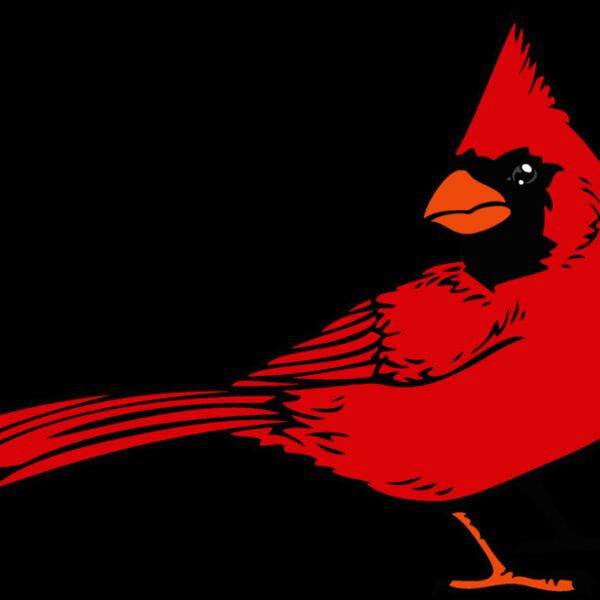 cardinaljk12 Thumbnail