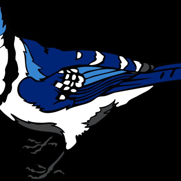 bluejay3 Thumbnail