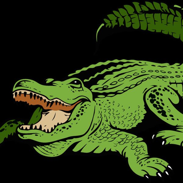 gator11v4clr Thumbnail