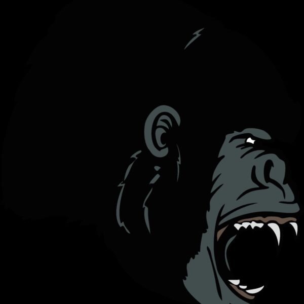 gorilla 20 Thumbnail