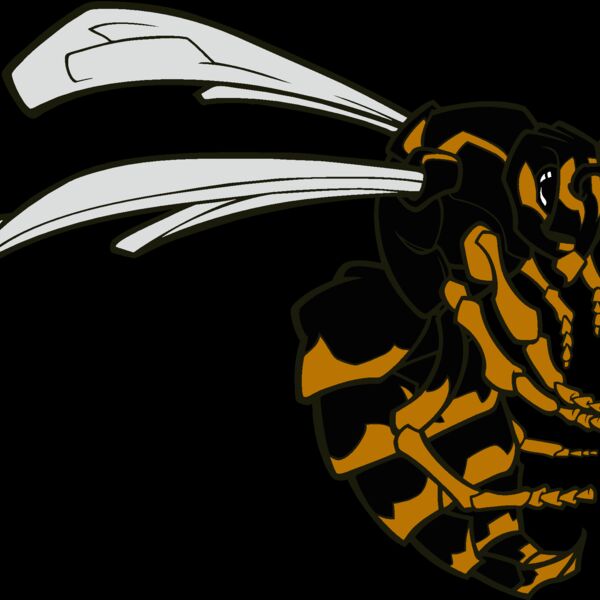 bee01v4clr Thumbnail