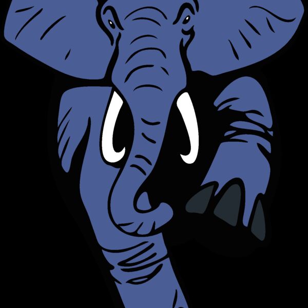 elephantmsct4 Thumbnail