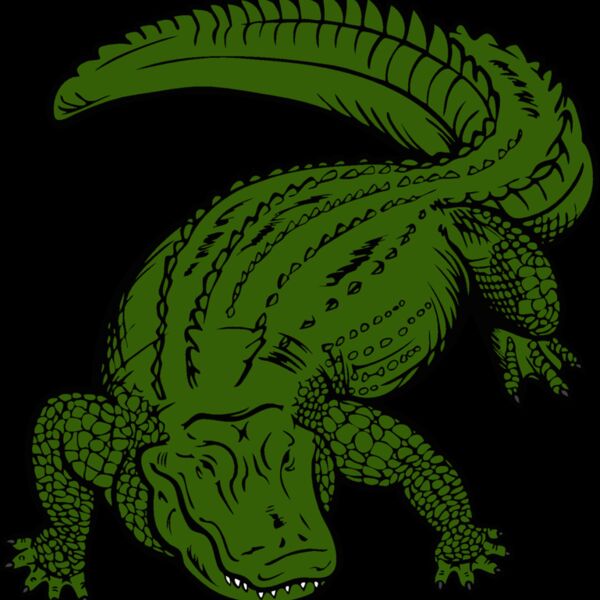 gator01v4clr Thumbnail