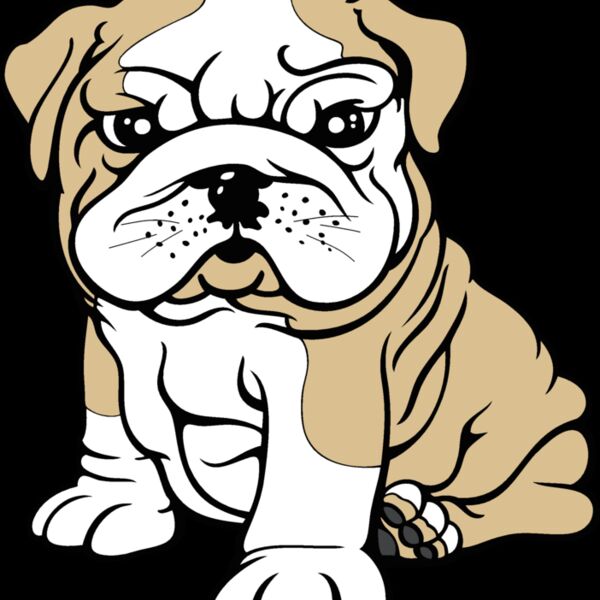 bulldog10v4clr Thumbnail