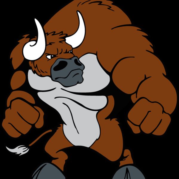 bullmsct06 Thumbnail