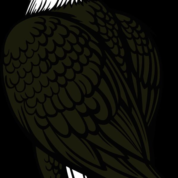 eagle10v4clr Thumbnail