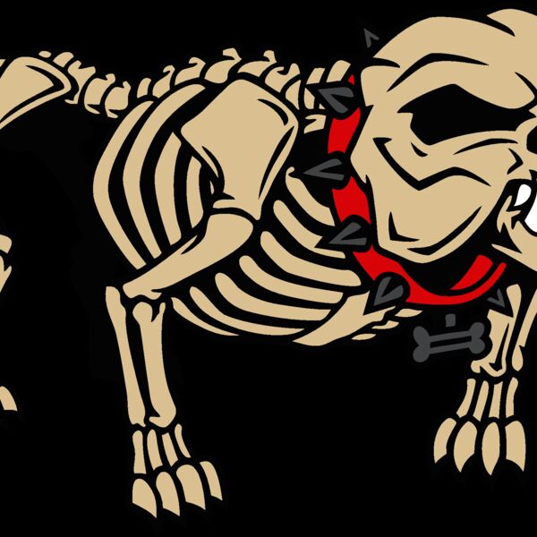 bulldog skeleton Thumbnail