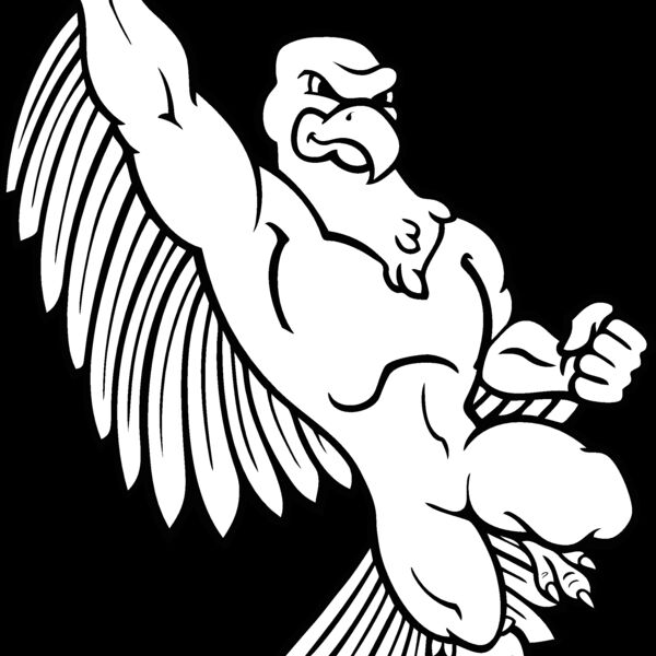 eagle06v4bw Thumbnail