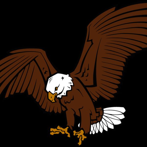 eagle02v4clr Thumbnail