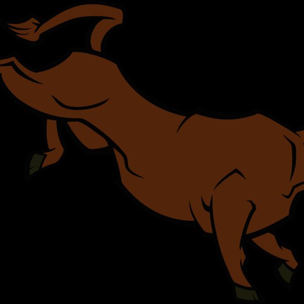 bull02v4clr Thumbnail