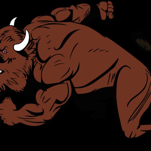 bisonmsct03 Thumbnail