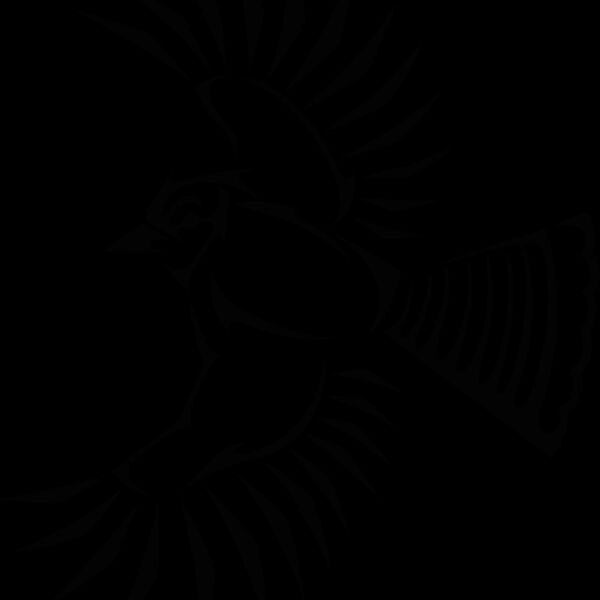 tribalbluejay Thumbnail