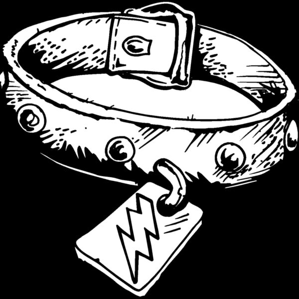 dog collar 2 Thumbnail