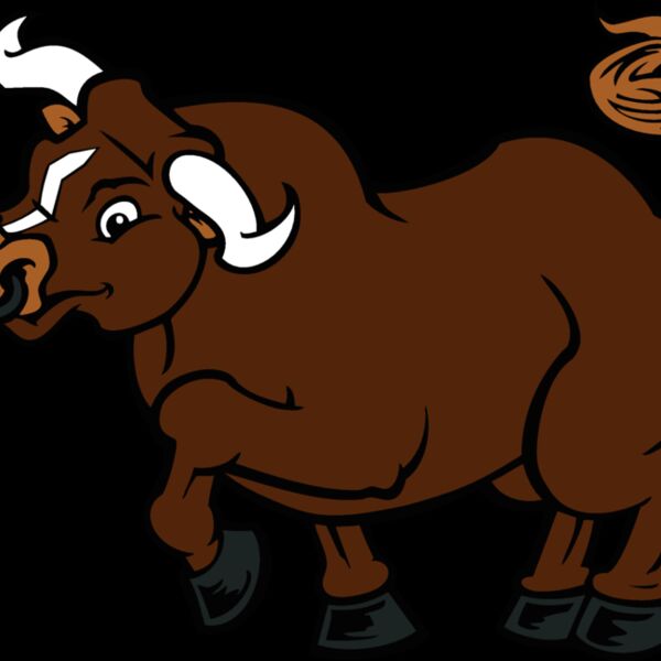 bull06v4clr Thumbnail