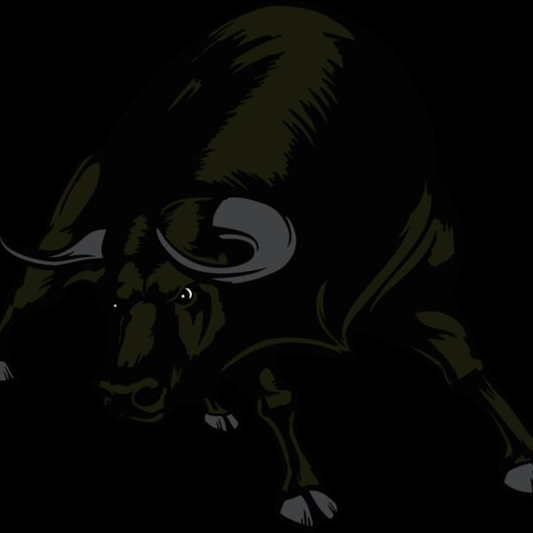 bull01v4clr Thumbnail