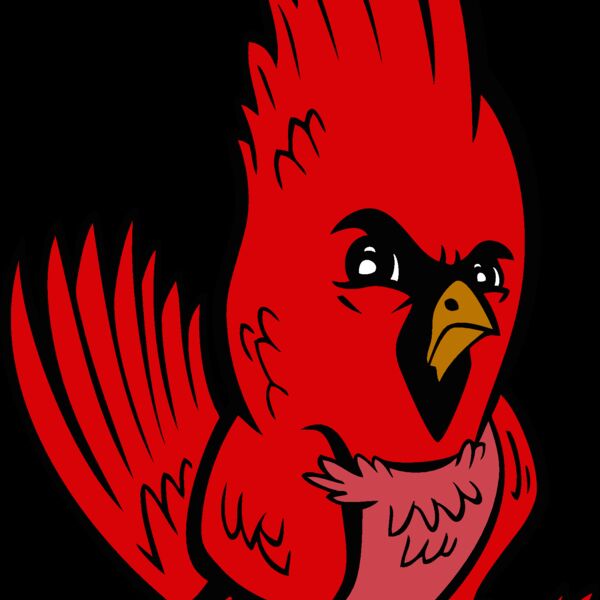 cardinal06v4clr Thumbnail