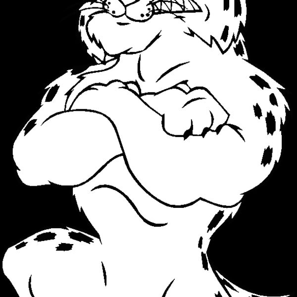 bobcatpoolbns Thumbnail