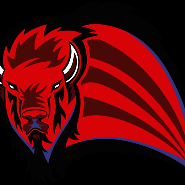 buffaloj011 Thumbnail