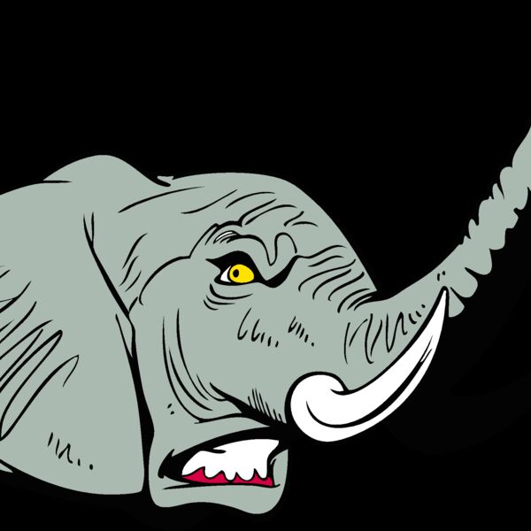 elephanthead11 Thumbnail