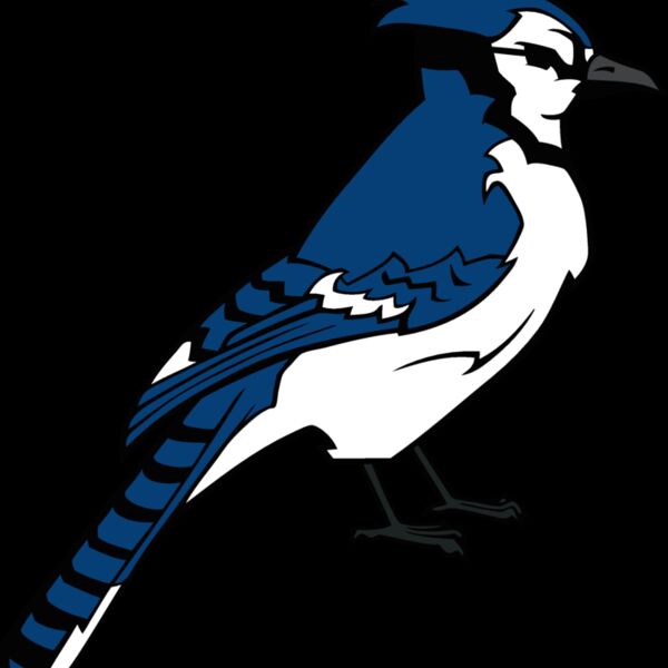 bluejay12 Thumbnail
