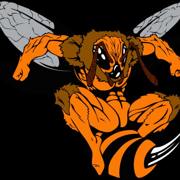 yellowjacket Thumbnail