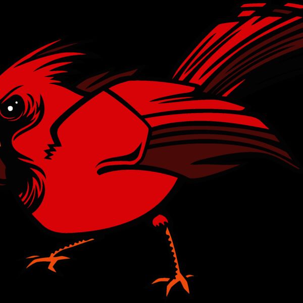 cardinal03v4clr Thumbnail