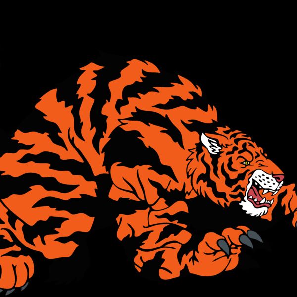 tigermsct03 Thumbnail