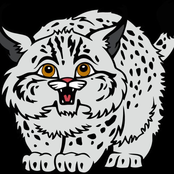 wildcat12v4clr Thumbnail