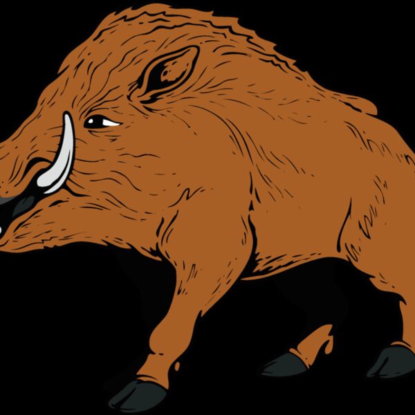 razorback01v4clr Thumbnail