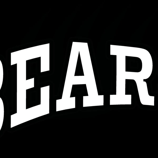bears Thumbnail