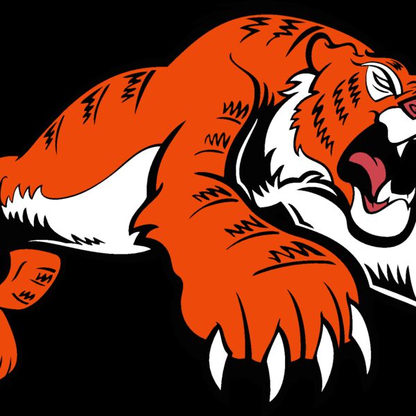 tiger11v4clr Thumbnail