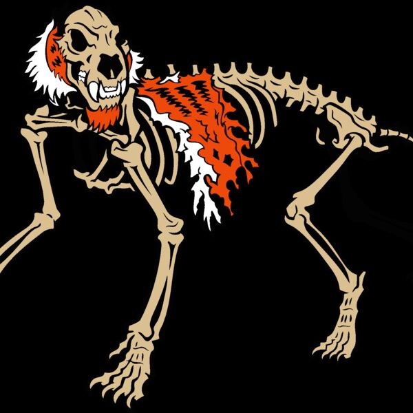 tiger skeleton Thumbnail
