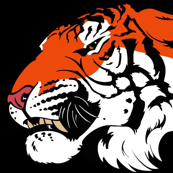 tiger08v4clr Thumbnail