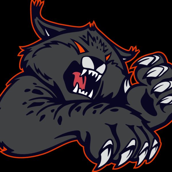 wildcat08v4clr Thumbnail