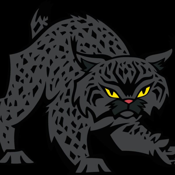 wildcat09v4clr Thumbnail