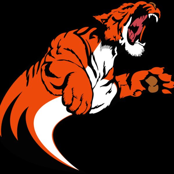 tiger17v4clr Thumbnail