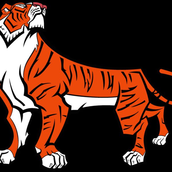 tiger04v4clr Thumbnail