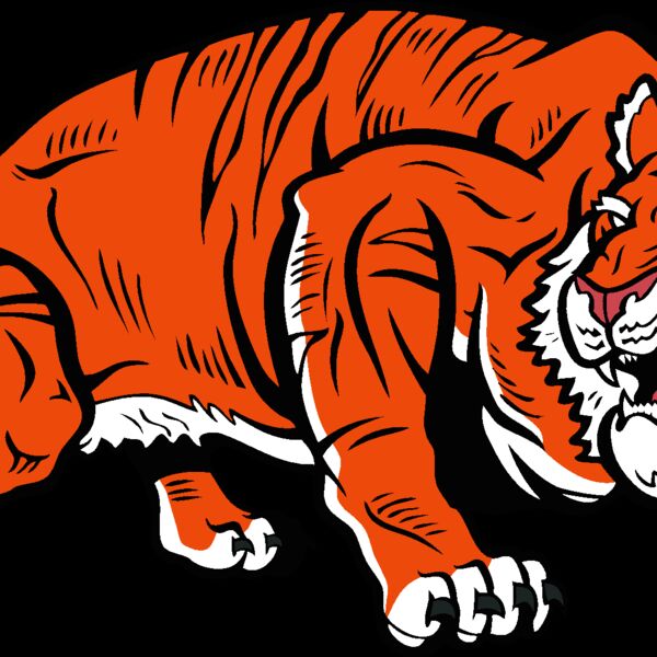 tiger18v4clr Thumbnail