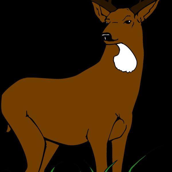 muledeer 2 Thumbnail