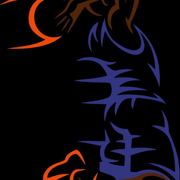 basketballc14 Thumbnail