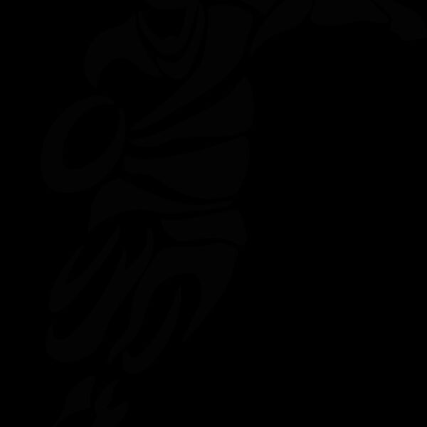 rugbytrbl1 Thumbnail