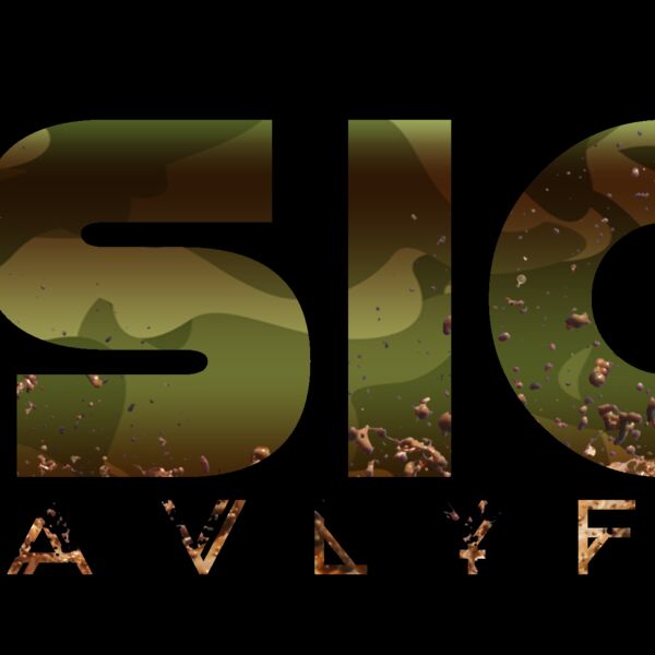 vision sav12 Thumbnail