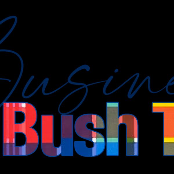 businessbush Thumbnail